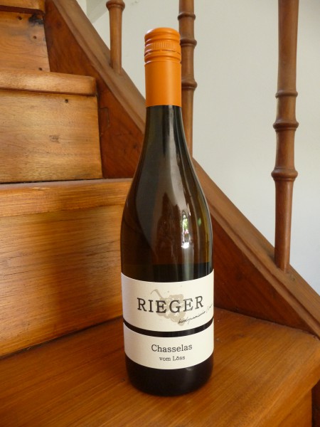 Chasselas Steinig 2023