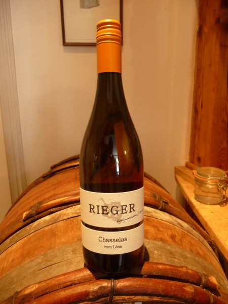 Chasselas Steinig 2023