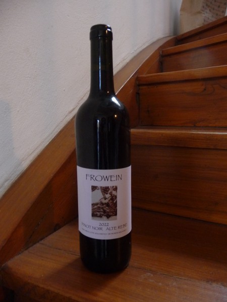 Pinot Noir Alte Rebe 2022