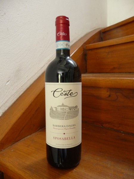 Barbera d`Alba "Sposabella" 2022