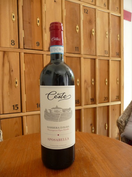 Barbera d`Alba "Sposabella" 2022