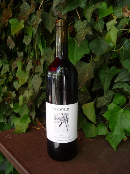 Pinot Noir Alte Rebe 2024