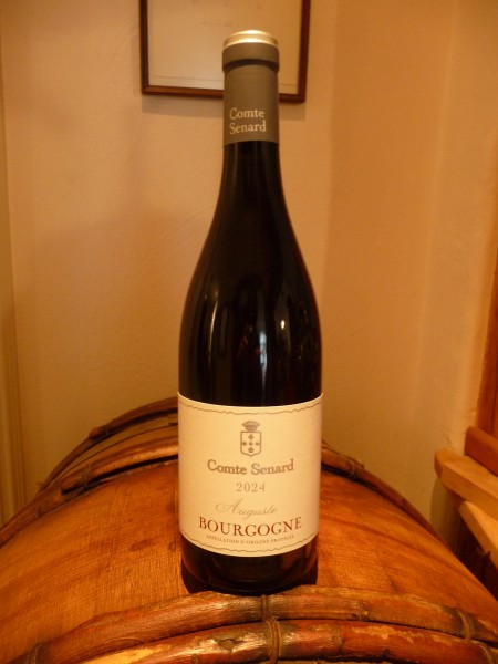 Bourgogne "Auguste" 2024