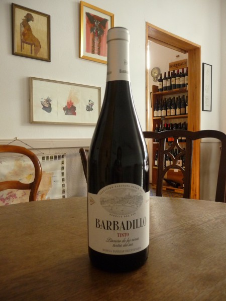 Barbadillo Tinto 2023