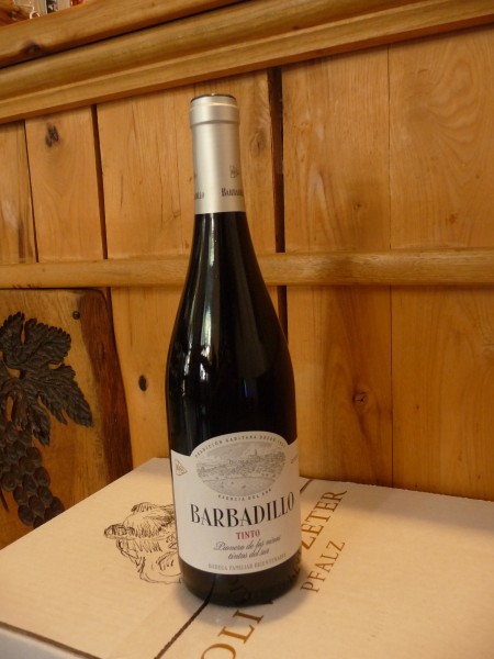 Barbadillo Tinto 2023