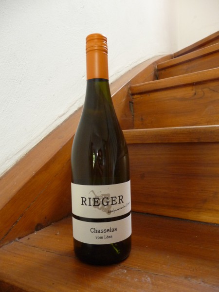Chasselas vom Löss 2024