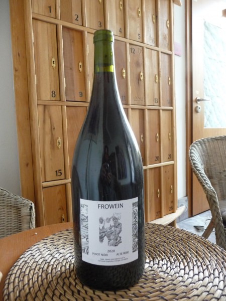 Pinot Noir 2020 Naturwein Magnum