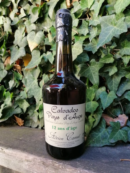 Calvados Pays d`Auge 12 Jahre