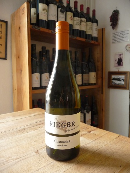 Chasselas vom Löss 2024