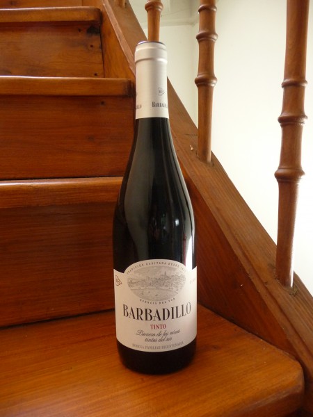 Barbadillo Tinto 2023